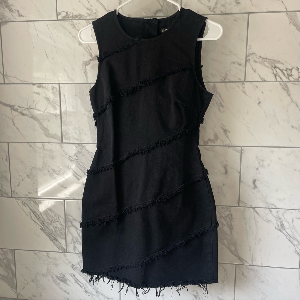 NWT Alexander Wang Diagonal Seamed Dress
